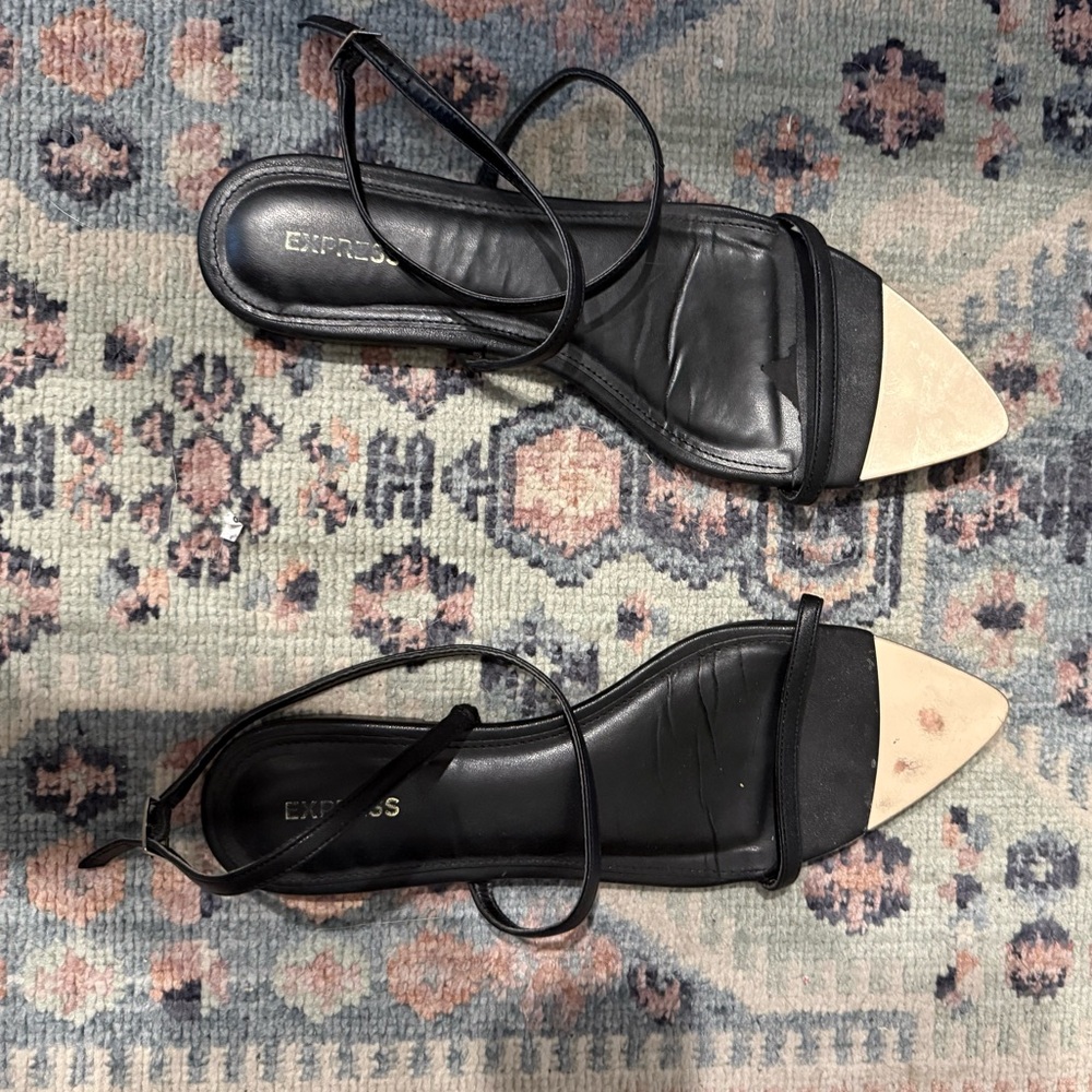 Women’s size 10 Express Flat pointed toe sandal.